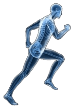 Sports Chiropractic
